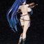 Taimanin RPG - Akiyama Rinko Swimsuit Ver. DX Edition