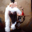 Original - Feng Lai Yi