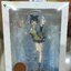 Ruka Sarashina (Limited Edition)