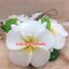 Fancy Soap Leelawadee with Leaf สบู่แฟนซี ดอกลีลาวดีมีใบ