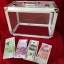 Tora Glassy Briefcase (4 Times)