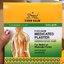 TIGER BALM MEDICATED PLASTER พลาสเตอร์บรรเทาปวด ตราเสือ สูตรเย็น บรรจุ 24 x 2 PLASTERS แผ่น - 7cm x 10cm