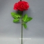 ดอกไม้ทวีคูณ เปลี่ยนสี / Magic Rose