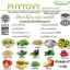 Phytovy ดีท็อกซ์