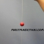 บอล ขึ้น-ลง / Obedient Ball