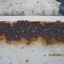 จินตนา T087-5413514 RUST- X One Step Rust Neutralizer And Metal Primer ปรับสภาพเหล็ก หยุดสนิมใช้สำหรับทาผิวโลหะที่เป็นสนิม เพื่อเปลี่ยนสภาพสนิมบนผิวโลหะ