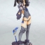 Liner Prisma Illya the beast Ver.