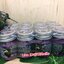NATURAL S.P. BEAUTY & MAKUP SLEEP BALM LAVENDER เนเชอรัล เอส.พี.บิวตี้ แอนด์ เมคอัพ สลิป บาล์ม ลาเวนเดอร์ 15 g. x 12 ชิ้น