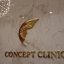 โลโก้ อักษรแสตนเลสหน้าทองเงา - CONCEPT CLINIC
