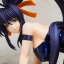 Himejima Akeno - 1/4 - Bunny ver. (FREEing)