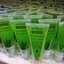 BANNA Aloe Vera Skin Gel 100g. บ้านนา เจลว่านหางจระเข้