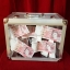 Tora Glassy Briefcase (4 Times)