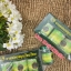 THAI HERBAL BALM ยาหม่องตราโพธิ์หยก เฮิร์บไทยจง บรรจุ 3 ขวด ขวดละ 50 กรัม