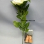 ชุดดอกไม้ไฟ3สี / Lighting Rose