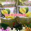 Tai yean Durian Freeze Dried ทุเรียนหมอนทองอบกรอบ ตราไท่เยียน 210 กรัม