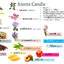 เทียนหอม อโรม่า 60 g ตลับอลูมิเนียม ( Aroma soy wax )